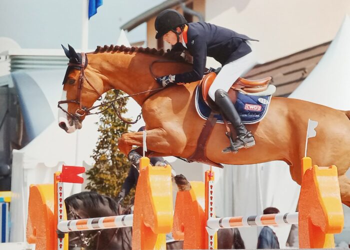 cavalier professionnel independant sur perpignan competition