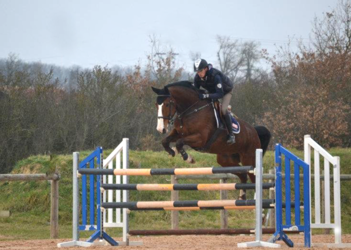 valorisation chevaux de sport