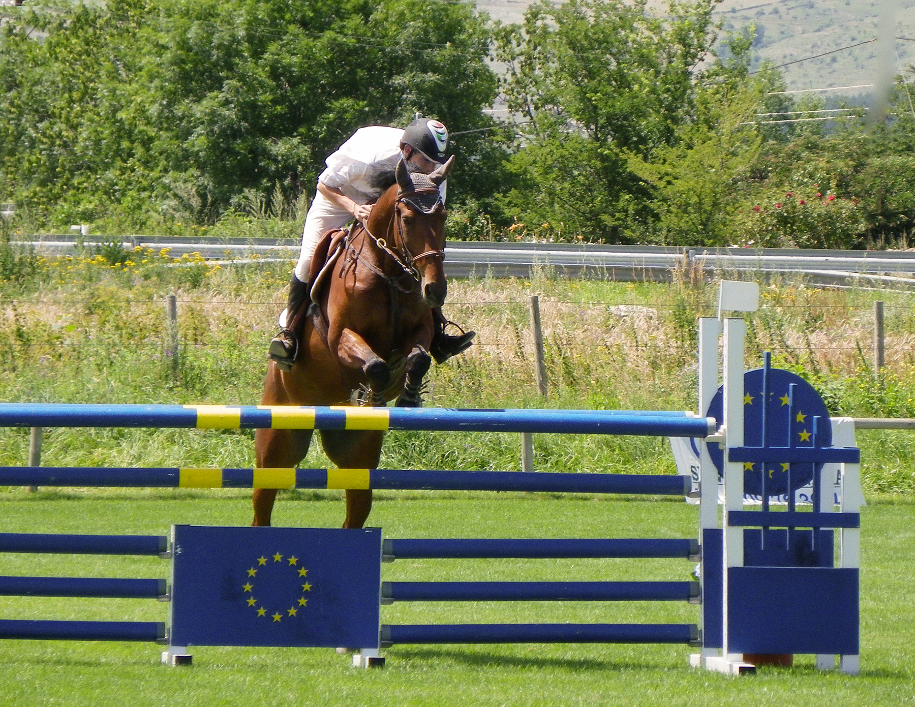 Hanoï : le sport équestre à la conquête des jeunes