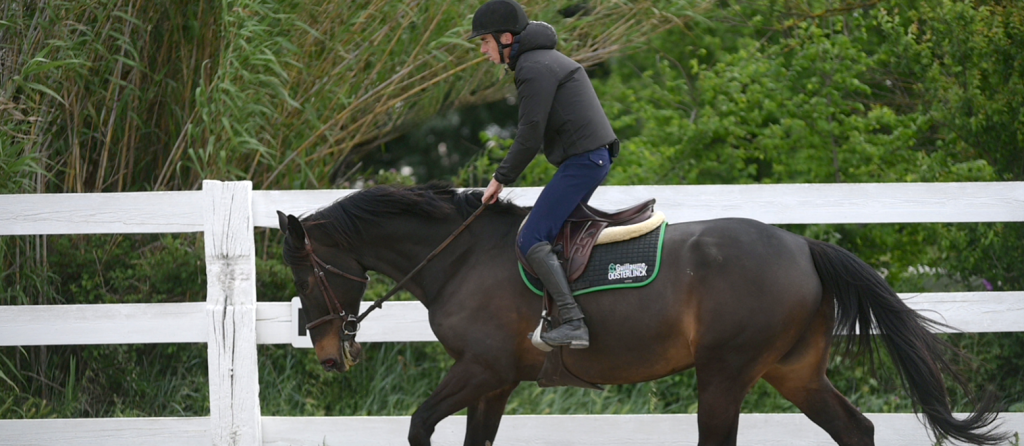 cavalier-professionnel-cso-perpignan